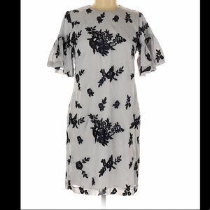 Banana Replublic Ruffle Sleeve Dress